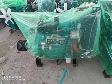 柴油發電機組 柴油發電機組